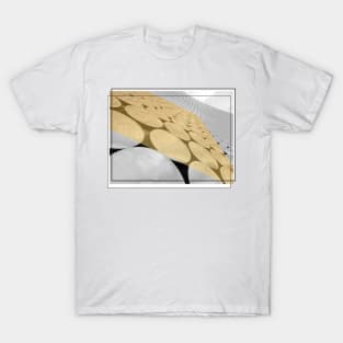 Cool Architecture Photography: Birmingham New Street Railway Station T-Shirt